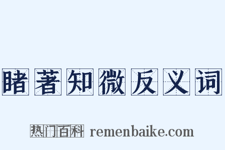 睹著知微反义词是什么意思的图片